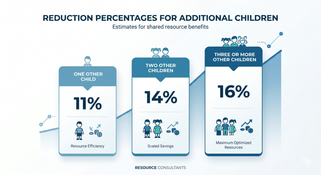 Infographic showing the four different rates for UK child maintenance calculation including Nil, Flat, Reduced, and Basic rates.